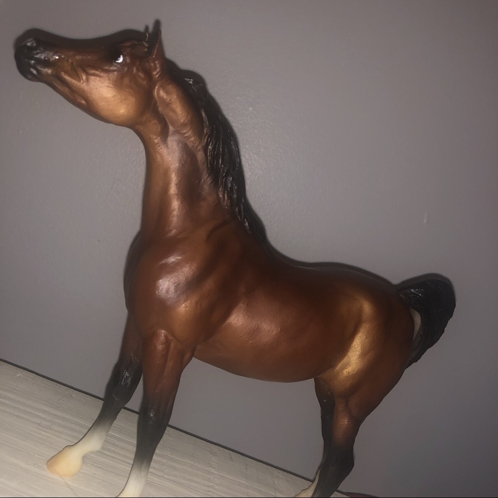 BAY CLASSIC ARABIAN